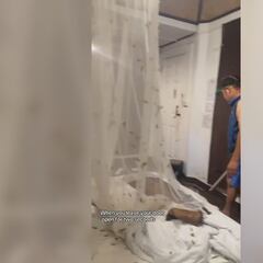 La espeluznante ‘visita’ que recibieron dos turistas en su habitación al volver: una cobra y toda una plaga...