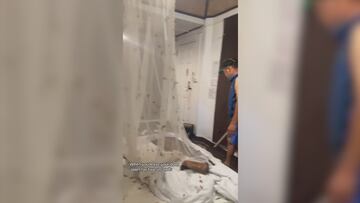 Thousands of moths and a cobra invade Thai hotel room after guests leave door open