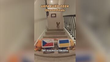 El perro infalible que acert車 la Champions del Madrid pronostica la Eurocopa: ?La final so?ada?