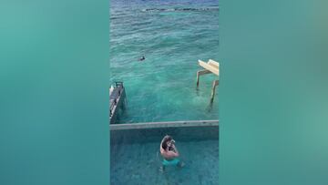 Arribas salva a un matrimonio de ahogarse en Maldivas