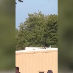 El vídeo del presunto tirador de Trump tras ser abatido por el Servicio Secreto