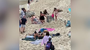 Estampida de leones marinos en una playa llena de gente en San Diego