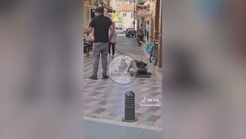 Owner outrages community by kicking his pit bull after it kills a cat