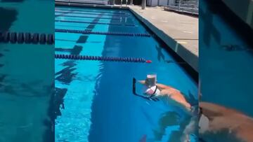 El increíble reto que cumplió de Katie Ledecky. por eso es medallista olímpica
