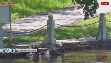 Los militares chinos muestran su nuevo dron con forma de pájaro: increíble