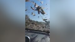 Terrifying locust swarm engulfs Argentina: Shocking footage captured from a car