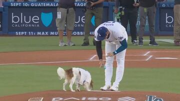 Shohei Ohtani's dog Decoy captivates social media with an adorable first pitch at Dodgers game