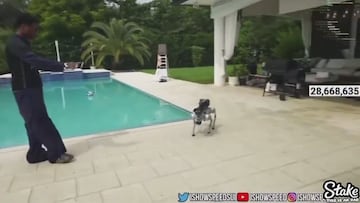 Un famoso streamer se compra un “perro robot” con lanzallamas: el resultado es el esperado