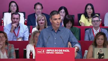 El momento en que Pedro Sánchez anuncia que presentará su reeleción como secretario general del PSOE