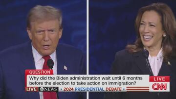 Donald Trump’s “cat and dog eating” claim supported by senior British politician