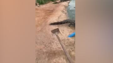 Es de lo más surrealista que verás hoy: la viral forma de espantar cocodrilos