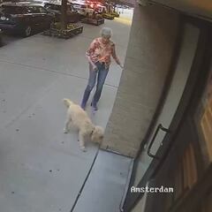 El brutal ataque gratuito de un hombre a una anciana que tiene estremecida a Nueva York