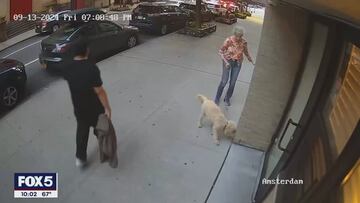 El brutal ataque gratuito de un hombre a una anciana que tiene estremecida a Nueva York