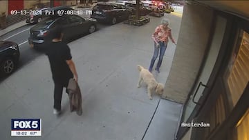 Shocking daylight attack: elderly woman brutally assaulted in New York