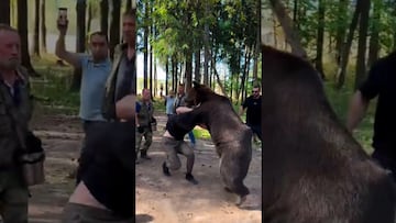 Boxeador ruso entrena en el bosque peleando contra un oso