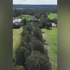 Hurricane Helene leaves Augusta National’s Magnolia Lane devastated