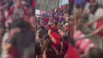 Violent brawl at Cardinals game: 5 fans brutally beat man leaving him critically injured