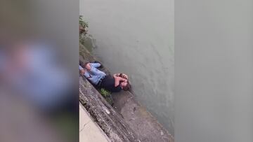 Un hombre rescata a un perro que está atrapado en un río: lo que hace el animal después se viraliza