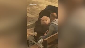 Un pareja pasea con un cerdo dentro de un carrito de bebé