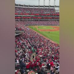 Lane Thomas’s Game 5 grand slam electrifies Guardians Stadium, igniting fan chaos!