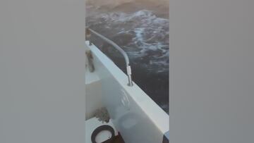 Dos marineros pasan uno de los peores momentos de su vida al ser atacados por dos orcas: la secuencia es aterradora