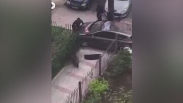 Un jabalí siembra el pánico en el madrileño barrio de Vallecas