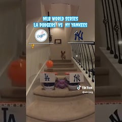 Corgi predice quién será el ganador de la Serie Mundial 2024