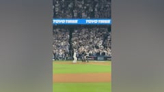 Unique stands angle captures electric fan reaction as Freeman’s grand slam clinches Dodgers’ victory