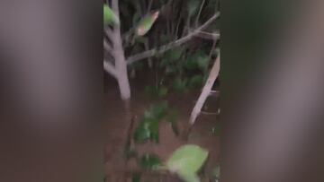 El desgarrador relato de esta mujer amarrada a una rama para que no se la lleve el agua de la DANA