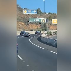 Surrealista: se baja de su coche en plena autopista para perseguir a un pato y colapsa el tráfico