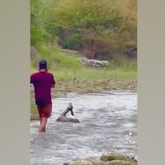 Le salva la vida a un ciervo y se convierte en su mejor amigo