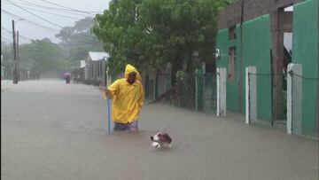 Un perro nadando trata de salvarse de las inundaciones en Honduras
