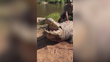 Terrifying sound made by Henry, the world’s oldest crocodile at 124 years old