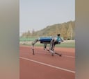 El nuevo robot chino que pone en riesgo el récord de los 100 metros lisos de Usain Bolt