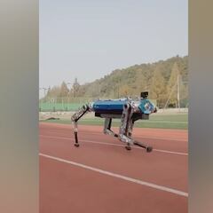 El nuevo robot chino que pone en riesgo el récord de los 100 metros lisos de Usain Bolt