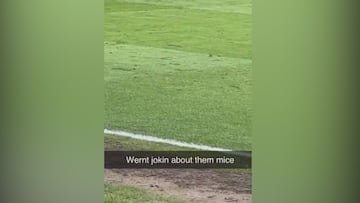 Ratas en medio del partido en Old Trafford: lo que le faltaba al Manchester United