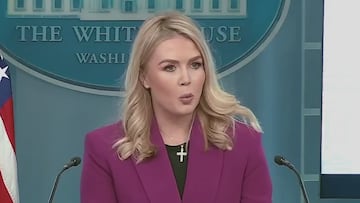 Karoline Leavitt revolutionizes media access: podcasters, bloggers, influencers enter briefing room