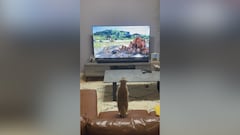 Adorable meerkat enthralled by Disney’s Lion King: Timon’s priceless reaction goes viral!
