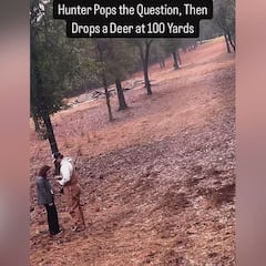 Un cazador pide matrimonio a su novia en el monte y aparece un ciervo: lo que ocurre ya es viral