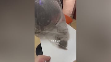 El invento de andar por casa para terminar con los mosquitos: apunten y háganlo