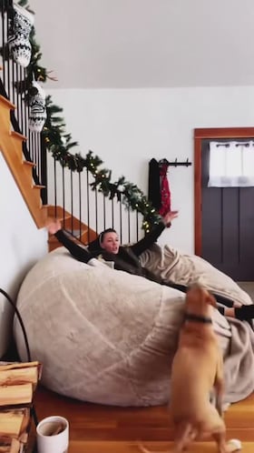 Son absolutamente increíbles: el vídeo de cómo las mascotas se mimetizan con sus dueños