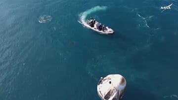 Dolphins swim around SpaceX capsule after splashdown from the ISS