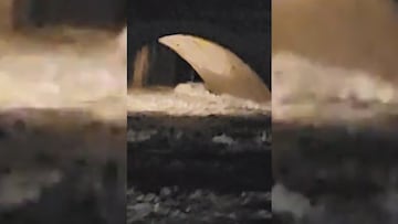 El momento que se derrumba el puente romano de Talavera de la Reina por el temporal