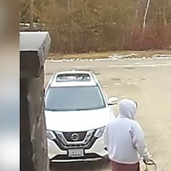 Un hombre le pide a su hermano que saque al perro: lo que capta la cámara de seguridad nadie lo entiende