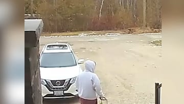 Un hombre le pide a su hermano que saque al perro: lo que capta la cámara de seguridad nadie lo entiende