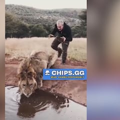 Un hombre le da un susto por la espalda a un león: lo que ocurre es difícil de creer