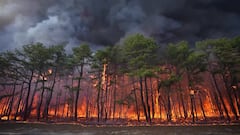 Shocking images as flames engulf New Jersey woodlands