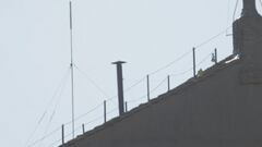White smoke erupts — the crowd roars as the new Pope is revealed to the world