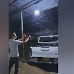El viral invento para acabar con los insectos con el que no darán crédito: 35M de personas lo han visto