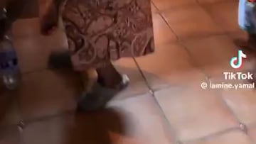 El divertido v¨ªdeo del hermano de Lamine: sorprende a su madre con una pistola de agua